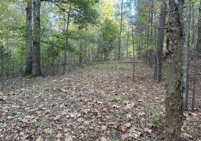 Homes for sale in Dover, TN | 0 Amanda Rd, Dover, TN 37058 | MLS# 3057060