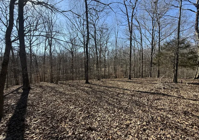 Homes for sale in Indian Mound, TN | 30 Backwoods Estates, Indian Mound, TN 37079 | MLS# 3057098