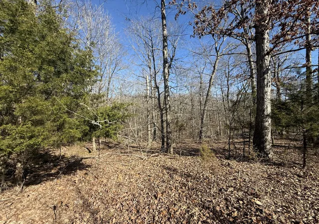 Homes for sale in Indian Mound, TN | 20 Backwoods Estates, Indian Mound, TN 37079 | MLS# 3057102