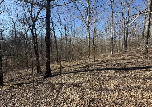 Homes for sale in Indian Mound, TN | 28 Backwoods Estates, Indian Mound, TN 37079 | MLS# 3057106