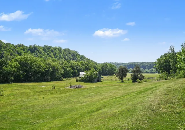 Homes for sale in Fairview, TN | 7699 N County Line Rd, Fairview, TN 37062 | MLS# 3147821