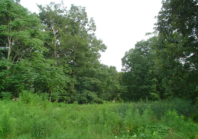 1st image of 1733 Wixtown Rd Nw, Westmoreland, TN 37186 | MLS# 3057879