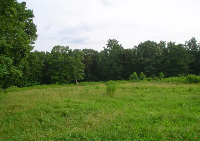 3rd image of 1733 Wixtown Rd Nw, Westmoreland, TN 37186 | MLS# 3057879