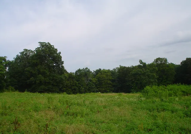 5th image of 1733 Wixtown Rd Nw, Westmoreland, TN 37186 | MLS# 3057879