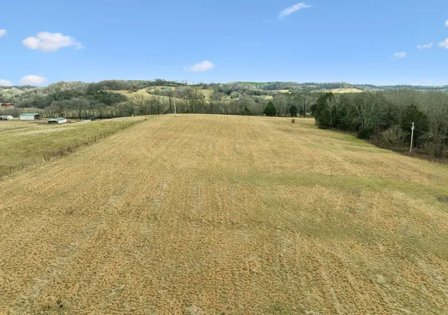 Land for sale at 0 Leipers Crk Rd, Williamsport, TN 38487 | MLS# 3058417