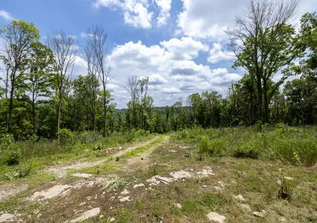 Photo 3 of Land for sale at 0 Goose Branch Rd, Lynchburg, TN 37352 | MLS# 3058588 | Listing updated on 2026-04-23