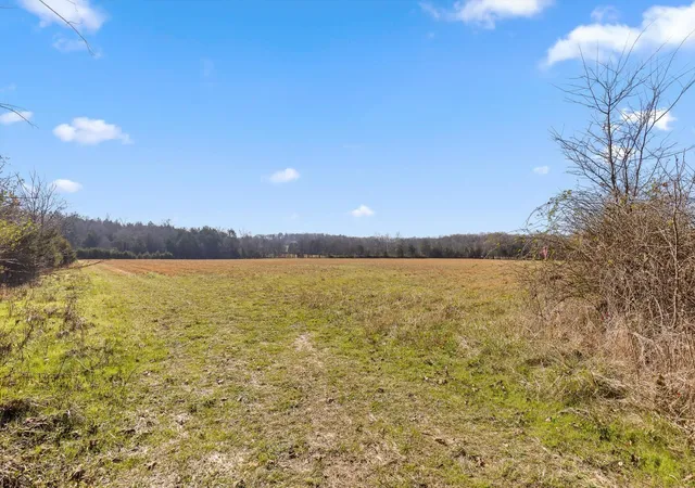 3rd image of 0 Brock Road, Chickamauga, GA 30707 | MLS# 3058561