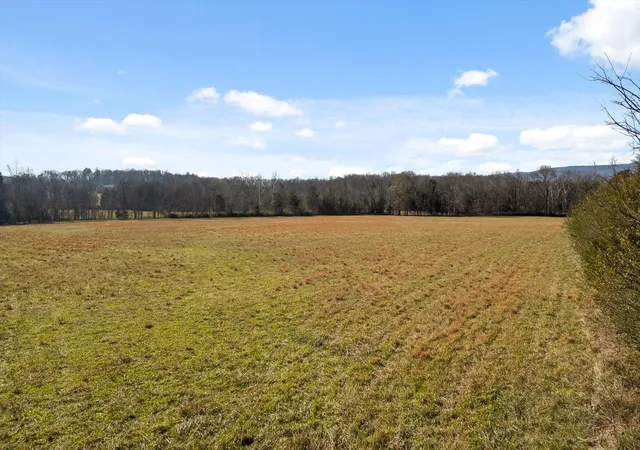 5th image of 0 Brock Road, Chickamauga, GA 30707 | MLS# 3058561