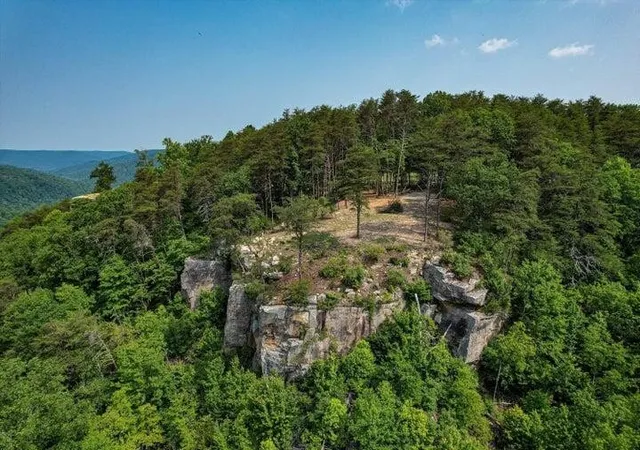 2nd image of 110 Falls Lane, Spencer, TN 38585 | MLS# 3059008