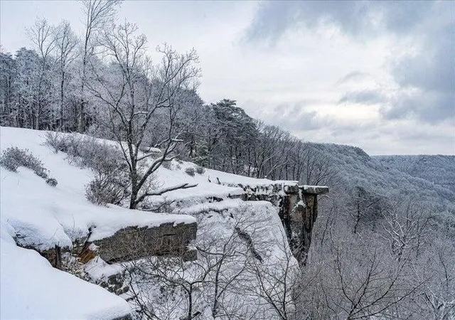 72nd image of 110 Falls Lane, Spencer, TN 38585 | MLS# 3059008