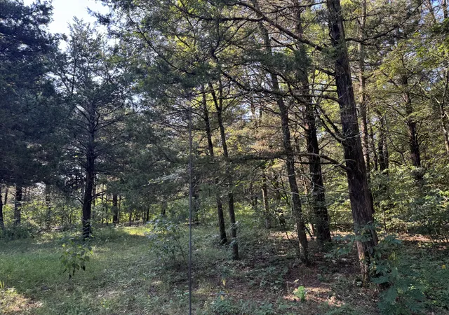 Photo 20 of Land for sale at 0 Lunns Store Rd, Chapel Hill, TN 37034 | MLS# 3059187 | Listing updated on 2026-08-30