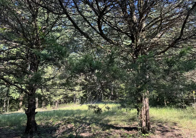Photo 3 of Land for sale at 0 Lunns Store Rd, Chapel Hill, TN 37034 | MLS# 3059187 | Listing updated on 2026-08-30