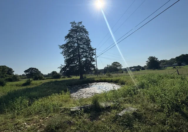 Photo 4 of Land for sale at 0 Lunns Store Rd, Chapel Hill, TN 37034 | MLS# 3059187 | Listing updated on 2026-08-30