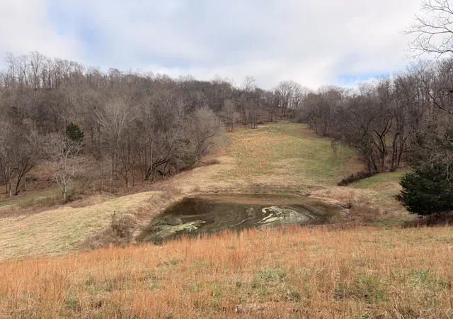 1st image of 7 Crooked Hill Rd N, Pulaski, TN 38478 | MLS# 3059361