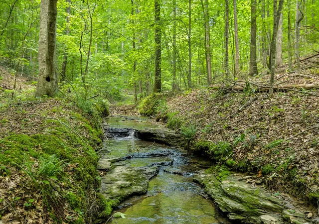 3rd image of 1 Crocker Springs Rd, Goodlettsville, TN 37072 | MLS# 3170438