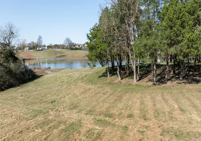 Homes for sale in Wartrace, TN | 0 Three Forks Bridge Rd, Wartrace, TN 37183 | MLS# 3059727
