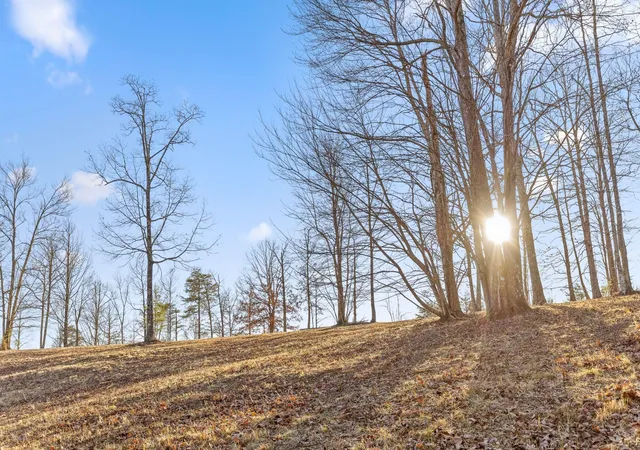 Photo 2 of Land for sale at 1 Lake George Dr, Dunlap, TN 37327 | MLS# 3059941 | Listing updated on 2026-01-23