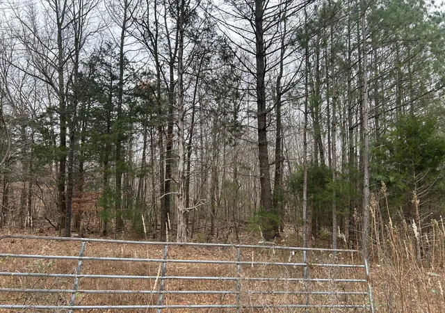 15th image of 4927 Hillsboro Viola Rd, Manchester, TN 37355 | MLS# 3060355