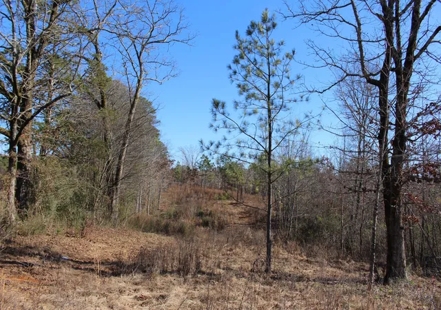 Photo 3 of Sale Pending at 1031 Ridge Rd, Savannah, TN 38372 | MLS# 3067874 | Listing updated on 2026-01-17