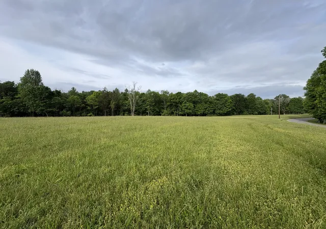 1st image of 0 Holland Hill Lane, Manchester, TN 37355 | MLS# 3060494