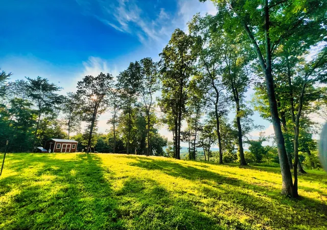 Photo 1 of Land for sale at 3202 Old Lego School Rd, Linden, TN 37096 | MLS# 3060568 | Listing updated on 2026-09-30