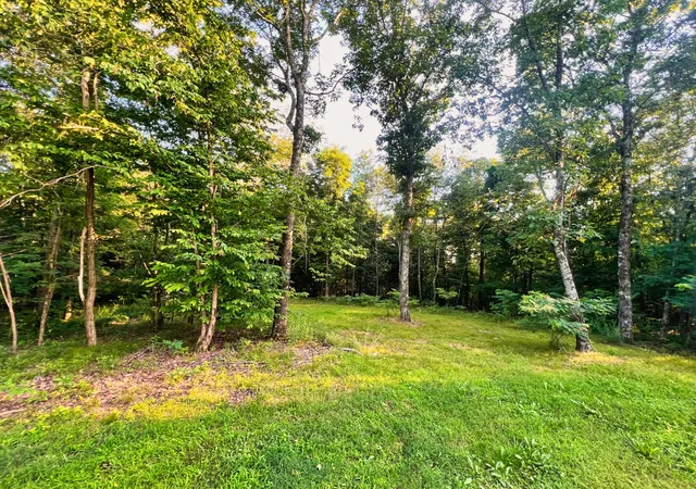 5th image of 3202 Old Lego School Rd, Linden, TN 37096 | MLS# 3060568