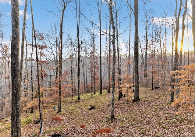 Photo 3 of Land for sale at 100 Waynoe Rd, Ashland City, TN 37015 | MLS# 3060865 | Listing updated on 2026-09-29