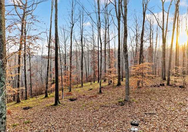 Photo 4 of Land for sale at 100 Waynoe Rd, Ashland City, TN 37015 | MLS# 3060865 | Listing updated on 2026-09-29