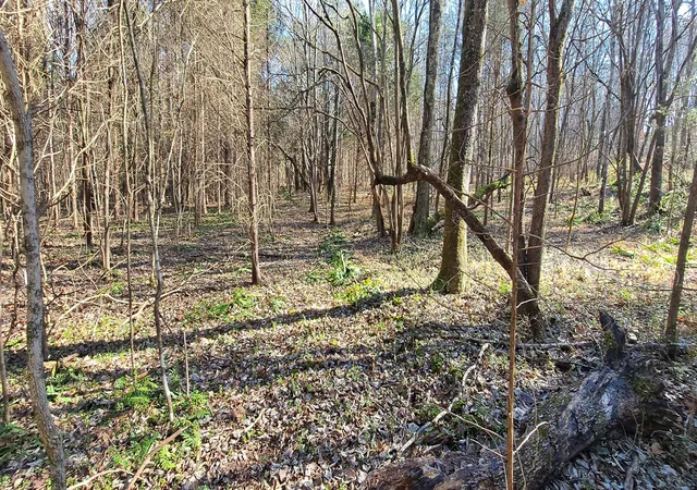 Photo 3 of Land for sale at 0 Nw Piney Rd, Dickson, TN 37055 | MLS# 3061195 | Listing updated on 2026-07-15
