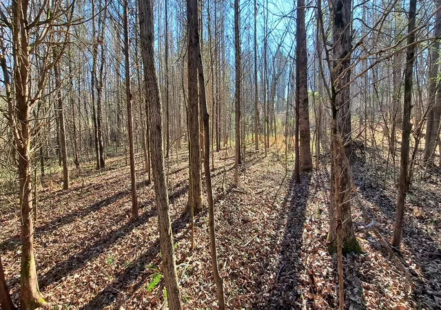 Photo 3 of House for sale at 0 NW Piney Rd, Dickson, TN 37055 | MLS# 3061195 | Listing updated on 2026-07-15