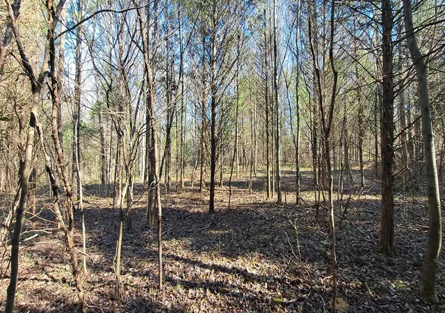 Photo 4 of House for sale at 0 NW Piney Rd, Dickson, TN 37055 | MLS# 3061195 | Listing updated on 2026-07-15