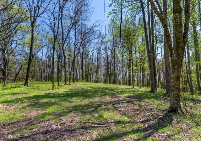 24th image of 2819b Yell Rd, Lewisburg, TN 37091 | MLS# 3068600