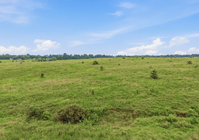 Land for sale at 46 Caps Rd, Indian Mound, TN 37079 | MLS# 3061670