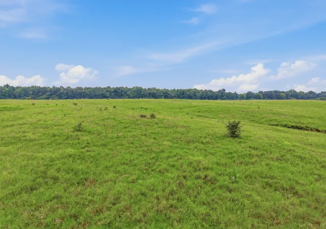 Photo 2 of Land for sale at 46 Caps Rd, Indian Mound, TN 37079 | MLS# 3061670 | Listing updated on 2026-09-28
