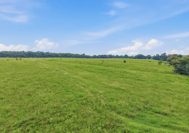 Photo 3 of Land for sale at 46 Caps Rd, Indian Mound, TN 37079 | MLS# 3061670 | Listing updated on 2026-09-28