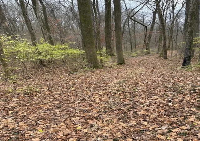 Photo 11 of Land for sale at 933 Old Lebanon Dirt Rd, Hermitage, TN 37076 | MLS# 3118627 | Listing updated on 2026-01-30