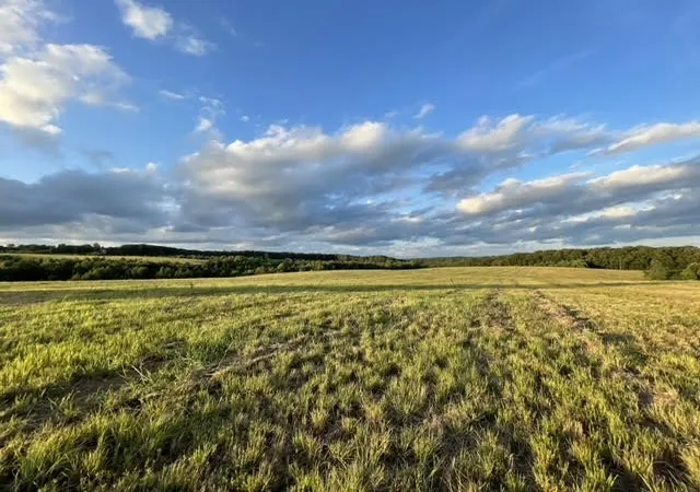 Photo 3 of Land for sale at 2505 Summer Oaks Cir, Summertown, TN 38483 | MLS# 3066499 | Listing updated on 2025-12-19