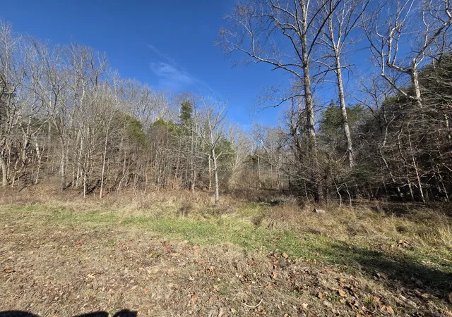 3rd image of 0 Upper Brush Creek Rd, Linden, TN 37096 | MLS# 3067404
