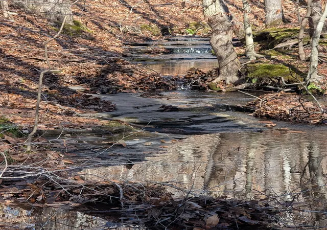 4th image of 0 Upper Brush Creek Rd, Linden, TN 37096 | MLS# 3067404