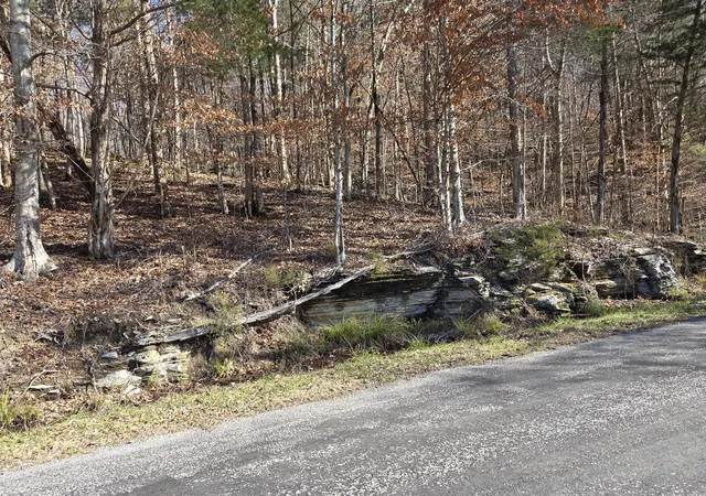 5th image of 0 Upper Brush Creek Rd, Linden, TN 37096 | MLS# 3067404