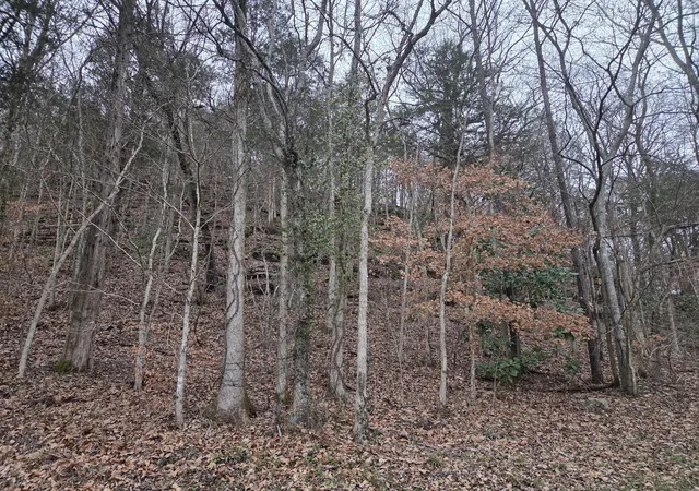 1st image of 0 Upper Brush Creek Rd, Linden, TN 37096 | MLS# 3067404
