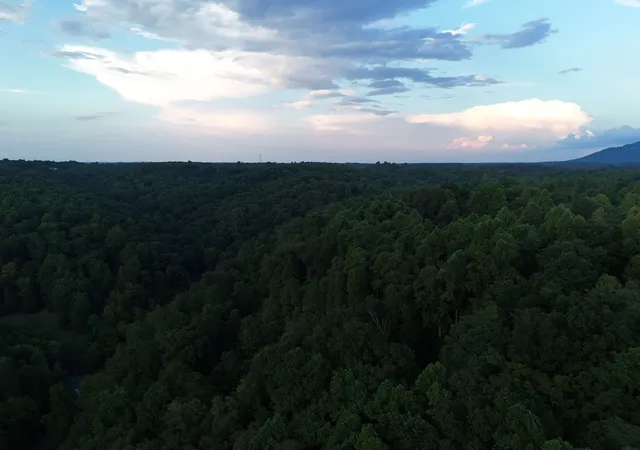 Photo 19 of Land for sale at 778 Jones Hollow Road, Woodbury, TN 37190 | MLS# 3066651 | Listing updated on 2026-04-02