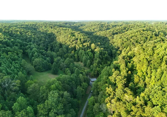 Photo 2 of Land for sale at 778 Jones Hollow Road, Woodbury, TN 37190 | MLS# 3066651 | Listing updated on 2026-04-02