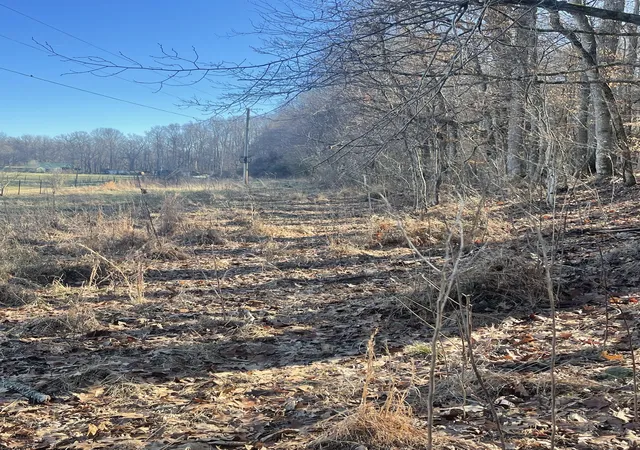 2nd image of 0 New Chapel Rd, Springfield, TN 37172 | MLS# 3072173