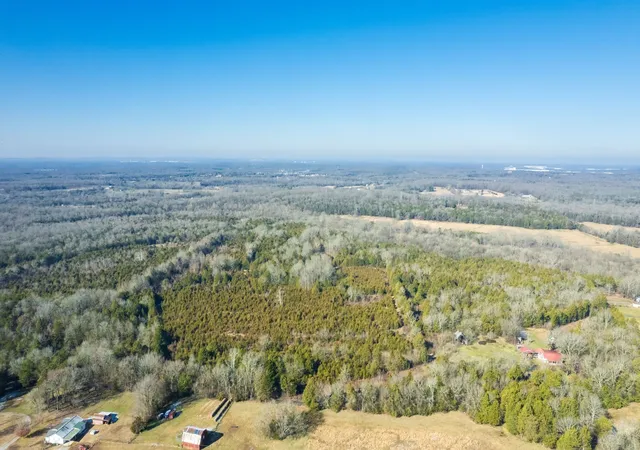 Land for sale at 980 Baldy Frd Rd, Lascassas, TN 37085 | MLS# 3067496