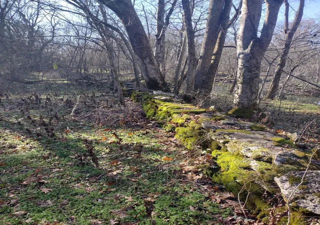 Photo 3 of Land for sale at 980 Baldy Frd Rd, Lascassas, TN 37085 | MLS# 3067496 | Listing updated on 2026-09-22