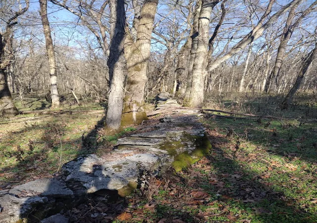 Photo 4 of Land for sale at 980 Baldy Frd Rd, Lascassas, TN 37085 | MLS# 3067496 | Listing updated on 2026-09-22