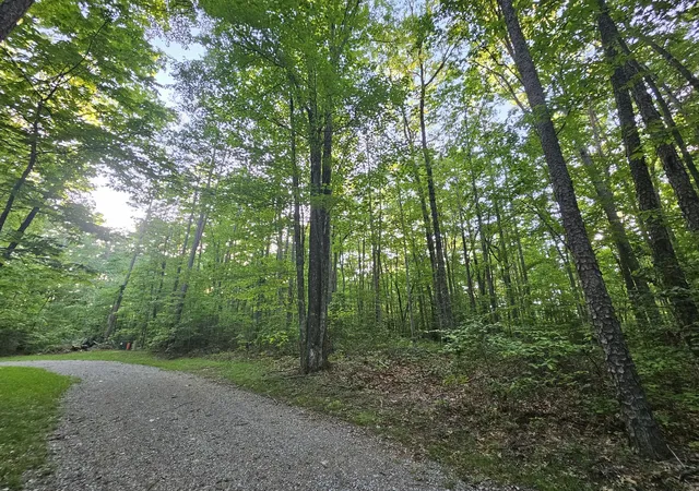 Homes for sale in Coalmont, TN | 3 Woodfern Ln, Coalmont, TN 37313 | MLS# 3067663