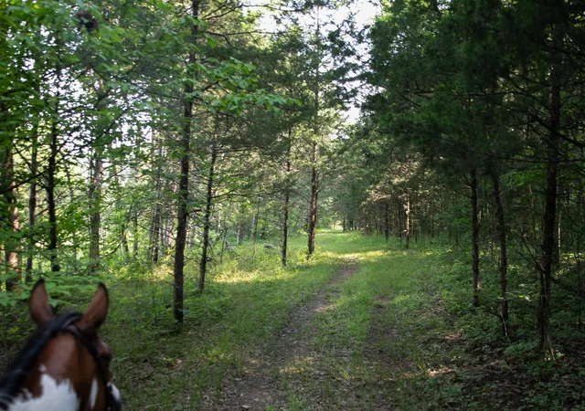 1st image of 0 Oregon Road, Milton, TN 37118 | MLS# 3069795