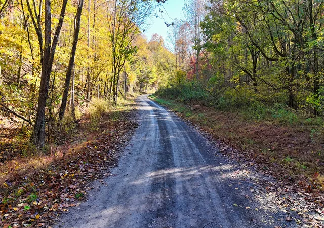 14th image of 0 Patch Ln, Bethpage, TN 37022 | MLS# 3071786